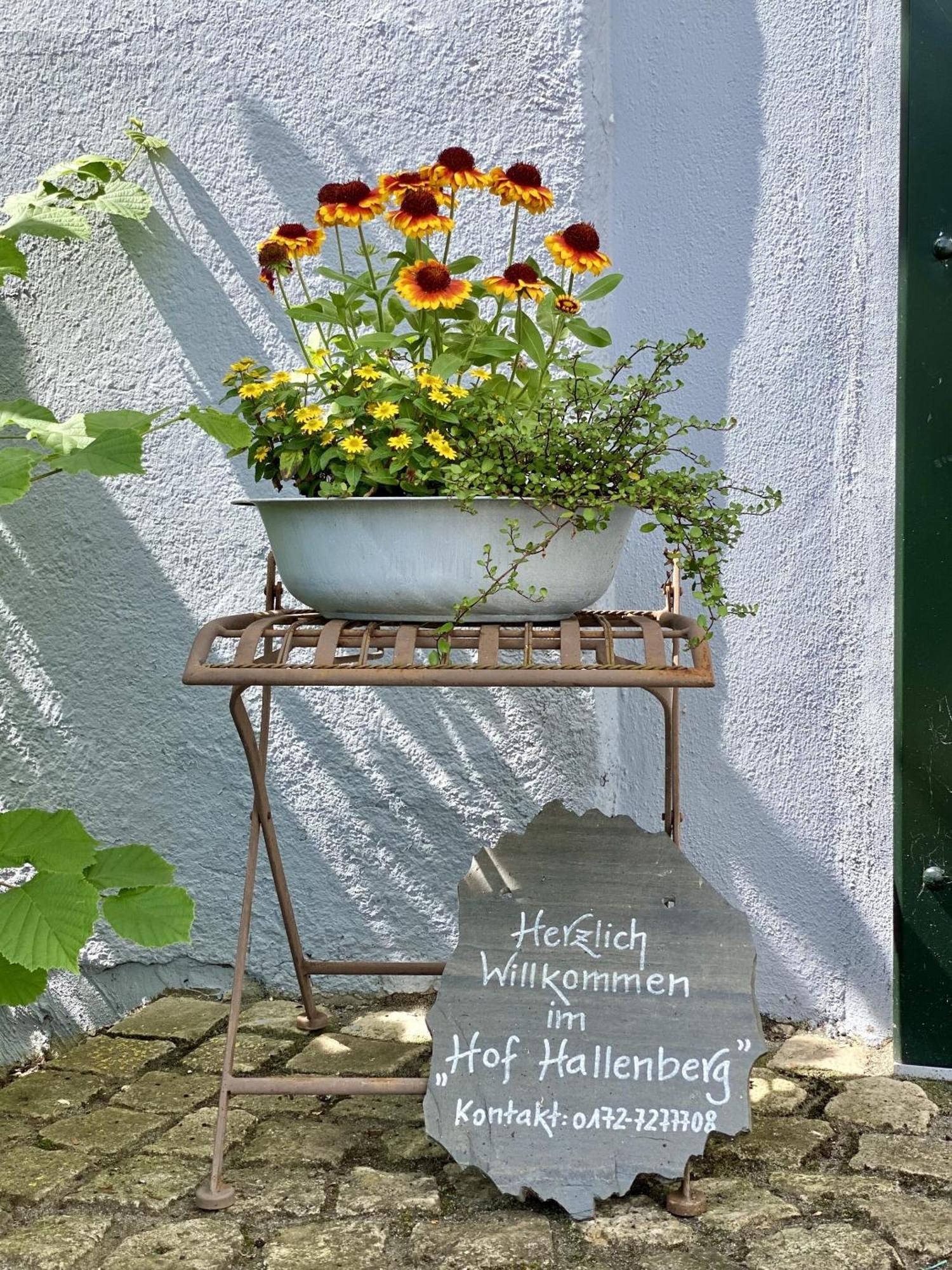 Hof Hallenberg Extérieur photo