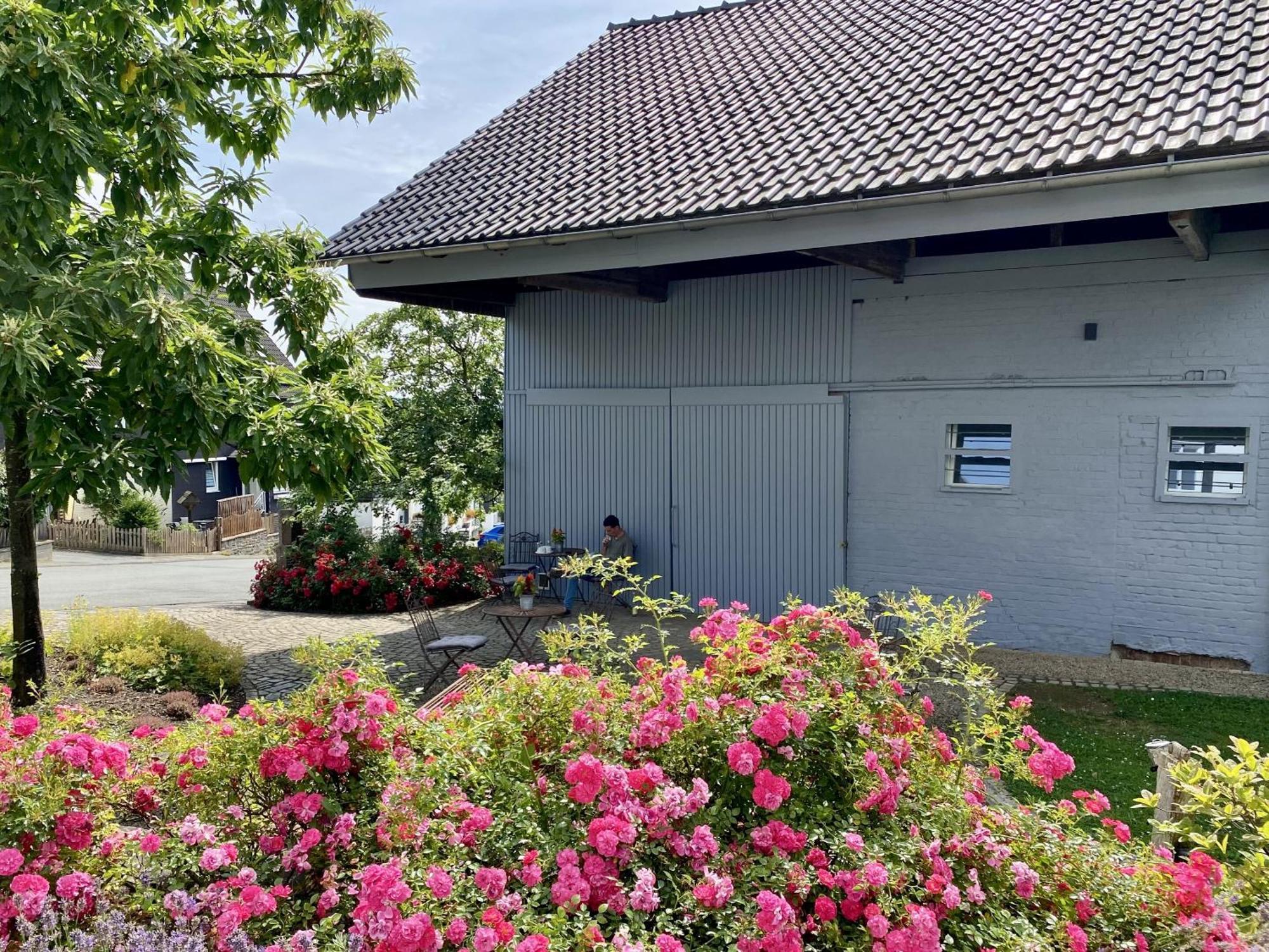 Hof Hallenberg Extérieur photo